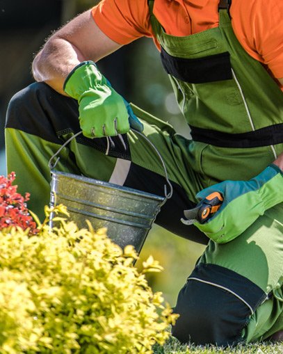 Mantenimiento para Jardineria