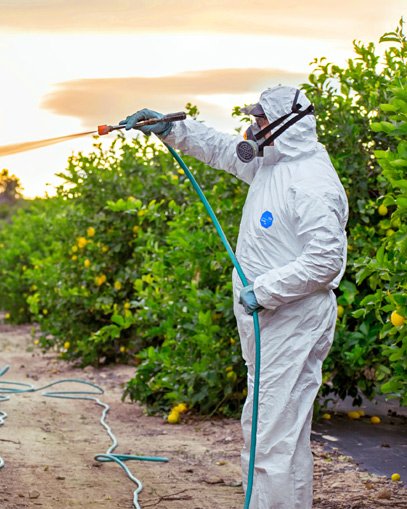 Fumigaciones de jardines en Monterrey