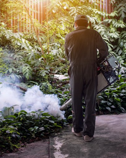 Fumigaciones  para jardines