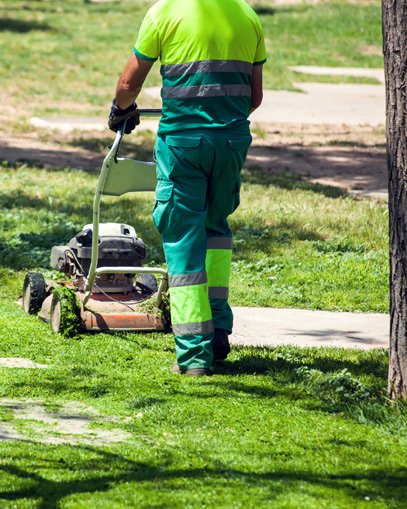 Mantenimiento para jardines