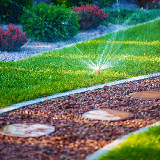 Jardines Modernos