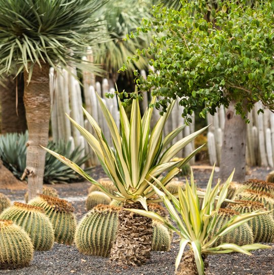 Jardines Modernos