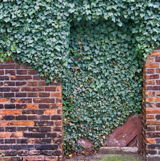 Jardines Modernos